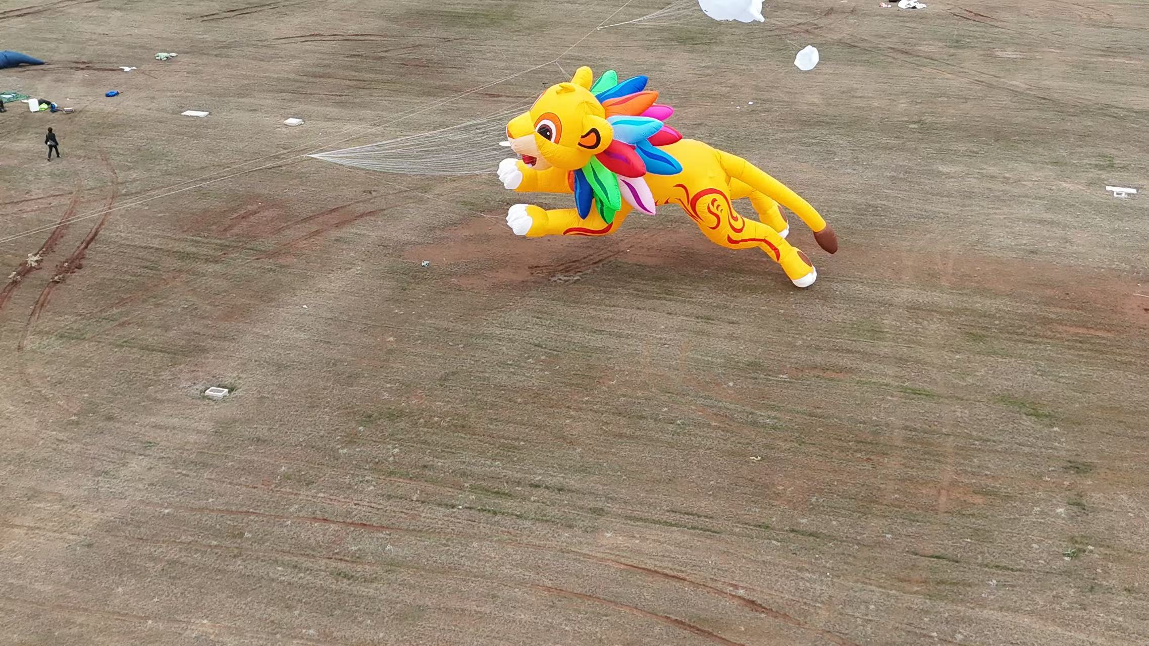 昆明市品牌风筝定制风筝放飞活动策划 - 推荐